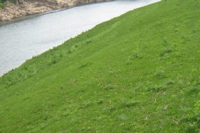 常見護坡樣式、特點及性能