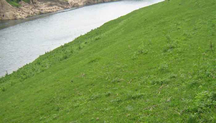 常見護(hù)坡樣式、特點(diǎn)及性能